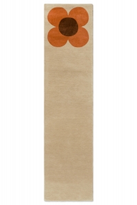 zvětšit obrázek do nového okna